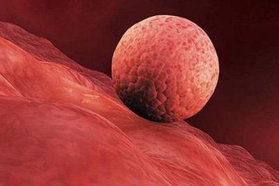 全面了解南宁三代试管费用，证件准备攻略不容错过