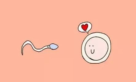 确诊为免疫性不孕能在普宁市做试管婴儿吗？做三代试管需要多少钱？