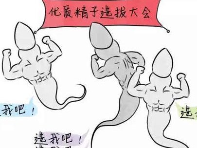 老年女性如何判断自己的卵巢功能卵巢功能差做试管成功的几率大吗？