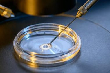 在泰国试管婴儿前期准备工作需要注意哪些问题？