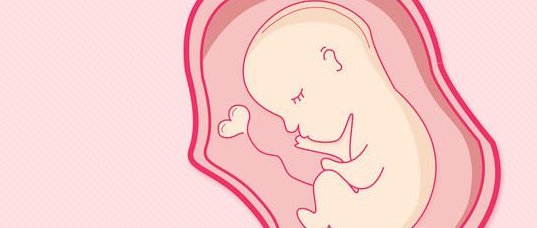 杭州试管婴儿机构价格，流程有哪些要求