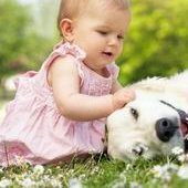 衡阳地区有哪些私立的机构可以做试管技术？2026长沙衡阳医院有试管吗？