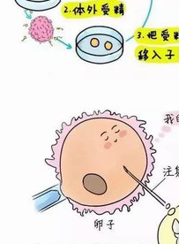 河北做第三代试管婴儿成功一般多少费用？