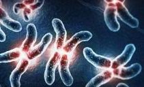 海南最大的助孕服务公司有哪几家？三亚永泰领衔，助您孕育新生命