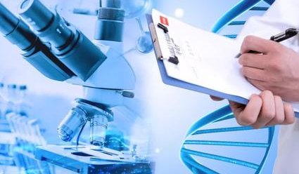 广西LGBT群体试管实录，无结婚证试管攻略（2026最新费用）