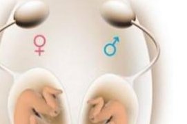 长沙哪里做试管助孕不用等？附2026长沙试管助孕生孩子费用